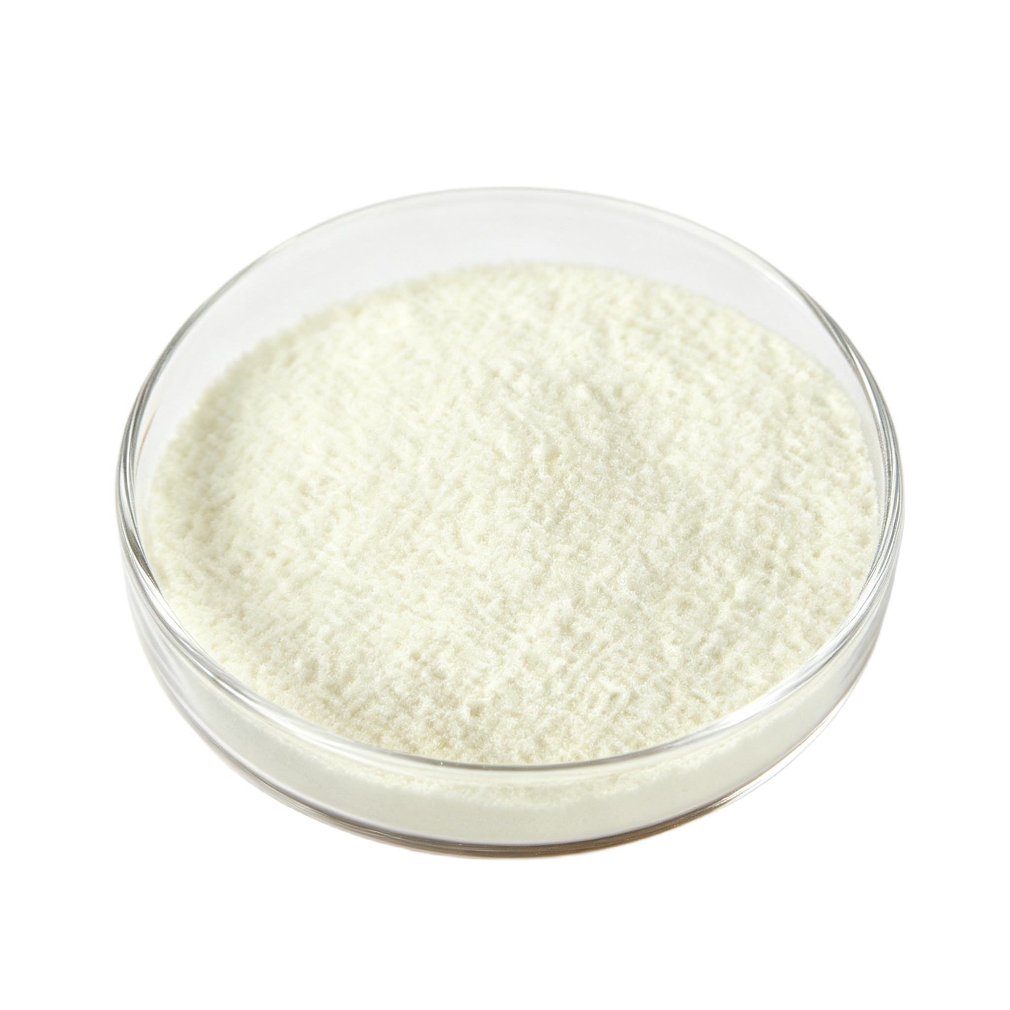 Xanthan Gum